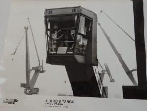 Fotos z filmu "Tango Ptaka"