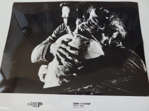 Fotos z filmu "Ukryty w słońcu"