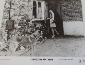 Fotos z filmu "Urodziny Matyldy"