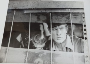 Fotos z filmu "Wilcze Echa"