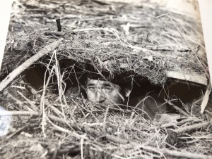 Fotos z filmu "Zerwany Most"