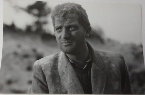 170.JPG