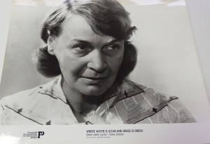 Fotos z filmu "Gdzie woda czysta i trawa zielona"