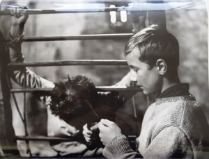 Fotos z filmu "Cierpkie Głogi"