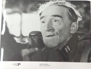 Fotos z filmu "Opadły Liście z Drzew"