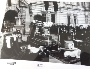 Fotos z filmu "Pałac"