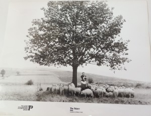 Fotos z filmu "Pałac"
