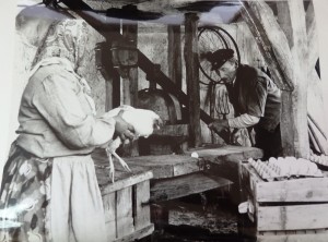 Fotos z filmu "Pieczone Gołąbki"