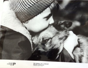 Fotos z filmu "Pogrzeb Świerszcza"