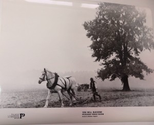 fotos z filmu "Pójdziesz Ponad Sadem"