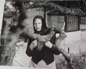Fotos z filmu "Przystań"