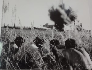 Fotos z filmu "Raj na ziemi"