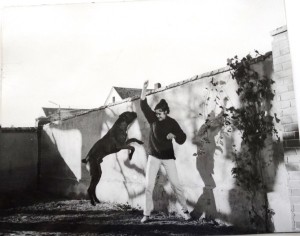 Fotos z filmu "Czerwone i Złote"