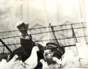 Fotos z filmu "Czerwone Ciernie"