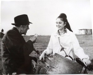 Fotos z filmu "Czerwone i Złote"