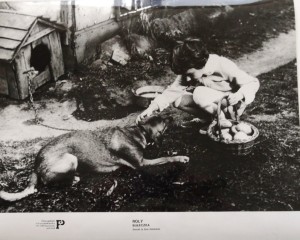 Fotos z filmu "Bułeczka"