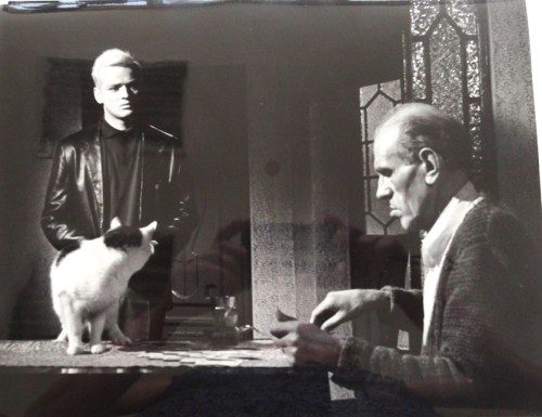1 (41).JPG